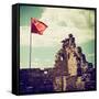 China 10MKm2 Collection - Great Wall with the Chinise Flag-Philippe Hugonnard-Framed Stretched Canvas