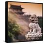 China 10MKm2 Collection - Guardian of the Temple-Philippe Hugonnard-Framed Stretched Canvas