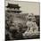 China 10MKm2 Collection - Guardian of the Temple-Philippe Hugonnard-Mounted Photographic Print