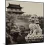 China 10MKm2 Collection - Guardian of the Temple-Philippe Hugonnard-Mounted Photographic Print