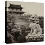 China 10MKm2 Collection - Guardian of the Temple-Philippe Hugonnard-Stretched Canvas