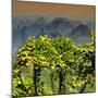 China 10MKm2 Collection - Guilin National Park at Sunset-Philippe Hugonnard-Mounted Photographic Print