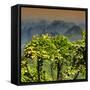 China 10MKm2 Collection - Guilin National Park at Sunset-Philippe Hugonnard-Framed Stretched Canvas