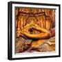 China 10MKm2 Collection - Hands Buddha-Philippe Hugonnard-Framed Photographic Print