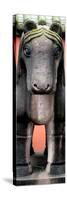 China 10MKm2 Collection - Horse Statue-Philippe Hugonnard-Stretched Canvas