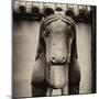 China 10MKm2 Collection - Horse Statue-Philippe Hugonnard-Mounted Photographic Print