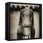 China 10MKm2 Collection - Horse Statue-Philippe Hugonnard-Framed Stretched Canvas