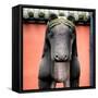 China 10MKm2 Collection - Horse Statue-Philippe Hugonnard-Framed Stretched Canvas