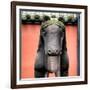 China 10MKm2 Collection - Horse Statue-Philippe Hugonnard-Framed Photographic Print