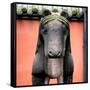 China 10MKm2 Collection - Horse Statue-Philippe Hugonnard-Framed Stretched Canvas