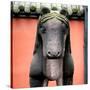 China 10MKm2 Collection - Horse Statue-Philippe Hugonnard-Stretched Canvas