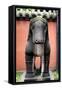 China 10MKm2 Collection - Horse Statue-Philippe Hugonnard-Framed Stretched Canvas