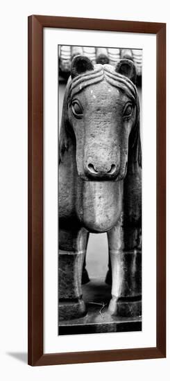 China 10MKm2 Collection - Horse Statue-Philippe Hugonnard-Framed Photographic Print