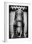 China 10MKm2 Collection - Horse Statue-Philippe Hugonnard-Framed Photographic Print