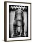 China 10MKm2 Collection - Horse Statue-Philippe Hugonnard-Framed Photographic Print