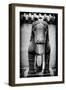 China 10MKm2 Collection - Horse Statue-Philippe Hugonnard-Framed Photographic Print