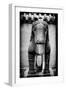 China 10MKm2 Collection - Horse Statue-Philippe Hugonnard-Framed Photographic Print