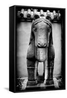 China 10MKm2 Collection - Horse Statue-Philippe Hugonnard-Framed Stretched Canvas