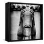 China 10MKm2 Collection - Horse Statue-Philippe Hugonnard-Framed Stretched Canvas