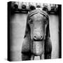 China 10MKm2 Collection - Horse Statue-Philippe Hugonnard-Stretched Canvas