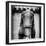 China 10MKm2 Collection - Horse Statue-Philippe Hugonnard-Framed Photographic Print