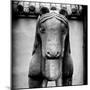 China 10MKm2 Collection - Horse Statue-Philippe Hugonnard-Mounted Photographic Print