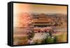 China 10MKm2 Collection - Instants Of Series - Forbidden City-Philippe Hugonnard-Framed Stretched Canvas