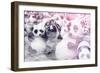 China 10MKm2 Collection - Instants Of Series - Psychedelic Pandas-Philippe Hugonnard-Framed Photographic Print