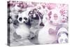 China 10MKm2 Collection - Instants Of Series - Psychedelic Pandas-Philippe Hugonnard-Stretched Canvas