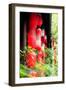 China 10MKm2 Collection - Instants Of Series - Red Lanterns-Philippe Hugonnard-Framed Photographic Print