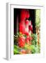 China 10MKm2 Collection - Instants Of Series - Red Lanterns-Philippe Hugonnard-Framed Photographic Print