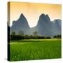 China 10MKm2 Collection - Karst Mountains at sunset - Yangshuo-Philippe Hugonnard-Stretched Canvas