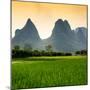 China 10MKm2 Collection - Karst Mountains at sunset - Yangshuo-Philippe Hugonnard-Mounted Photographic Print