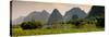 China 10MKm2 Collection - Karst Moutains in Yangshuo-Philippe Hugonnard-Stretched Canvas