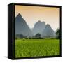 China 10MKm2 Collection - Karst Moutains in Yangshuo-Philippe Hugonnard-Framed Stretched Canvas