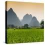 China 10MKm2 Collection - Karst Moutains in Yangshuo-Philippe Hugonnard-Stretched Canvas