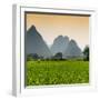 China 10MKm2 Collection - Karst Moutains in Yangshuo-Philippe Hugonnard-Framed Photographic Print