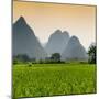 China 10MKm2 Collection - Karst Moutains in Yangshuo-Philippe Hugonnard-Mounted Photographic Print