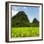 China 10MKm2 Collection - Karst Moutains in Yangshuo-Philippe Hugonnard-Framed Photographic Print