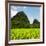 China 10MKm2 Collection - Karst Moutains in Yangshuo-Philippe Hugonnard-Framed Photographic Print