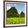 China 10MKm2 Collection - Karst Moutains in Yangshuo-Philippe Hugonnard-Framed Photographic Print