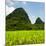 China 10MKm2 Collection - Karst Moutains in Yangshuo-Philippe Hugonnard-Mounted Photographic Print