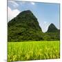 China 10MKm2 Collection - Karst Moutains in Yangshuo-Philippe Hugonnard-Mounted Photographic Print