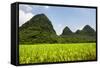 China 10MKm2 Collection - Karst Moutains in Yangshuo-Philippe Hugonnard-Framed Stretched Canvas