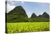 China 10MKm2 Collection - Karst Moutains in Yangshuo-Philippe Hugonnard-Stretched Canvas