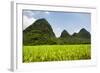 China 10MKm2 Collection - Karst Moutains in Yangshuo-Philippe Hugonnard-Framed Photographic Print