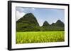 China 10MKm2 Collection - Karst Moutains in Yangshuo-Philippe Hugonnard-Framed Photographic Print