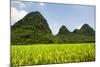 China 10MKm2 Collection - Karst Moutains in Yangshuo-Philippe Hugonnard-Mounted Photographic Print