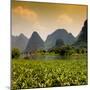 China 10MKm2 Collection - Karst Moutains in Yangshuo-Philippe Hugonnard-Mounted Photographic Print