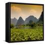 China 10MKm2 Collection - Karst Moutains in Yangshuo-Philippe Hugonnard-Framed Stretched Canvas